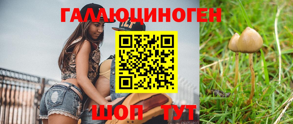 Галлюциногенные грибы Psilocybine cubensis Тихорецк