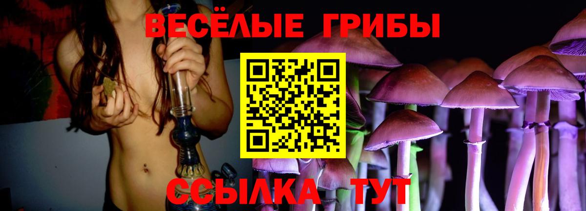 Псилоцибиновые грибы Psilocybine cubensis  Галлюциногенные грибы Psilocybe  Тихорецк  Вход с VPN 